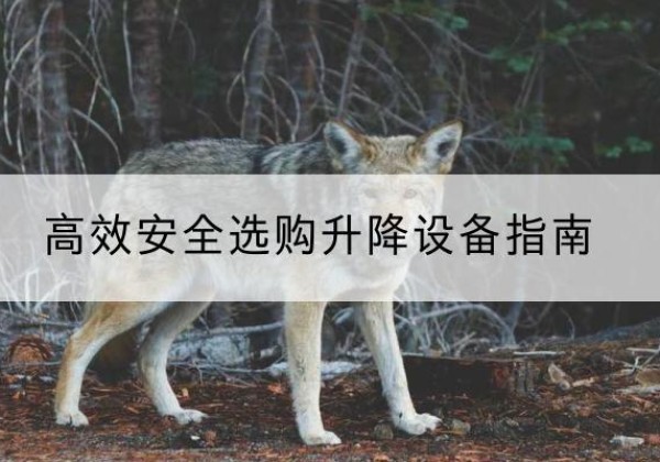 南靖升降货梯厂家推荐-*安全选购升降设备指南