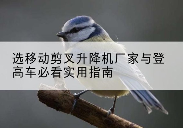 南靖电动升降机厂家-选移动剪叉升降机厂家与登高车必看实用指南