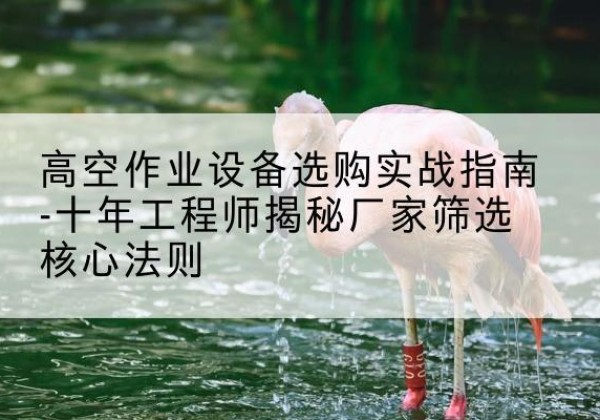 南靖剪叉式升降机厂家-高空作业设备选购实战指南-十年工程师揭秘厂家筛选核心法则